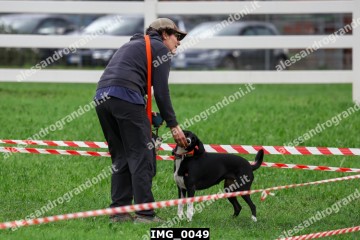 IMG_0049.jpg