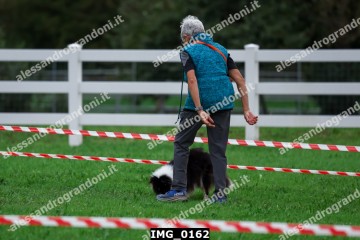 IMG_0162.jpg