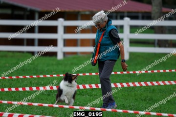 IMG_0195.jpg