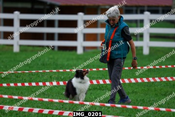 IMG_0201.jpg