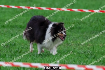 IMG_0218.jpg
