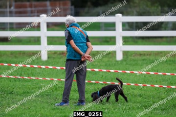 IMG_0251.jpg