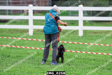 IMG_0258.jpg