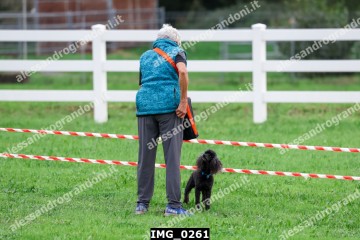 IMG_0261.jpg