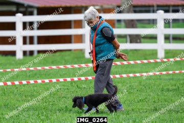 IMG_0264.jpg
