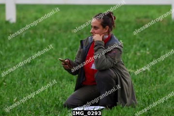 IMG_0293.jpg