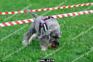 IMG_0378.jpg