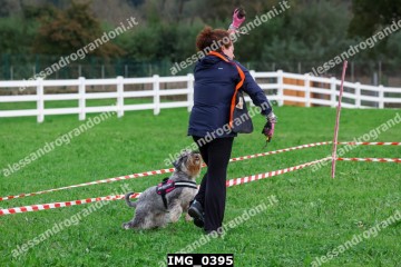 IMG_0395.jpg