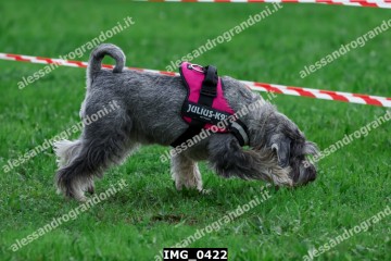 IMG_0422.jpg