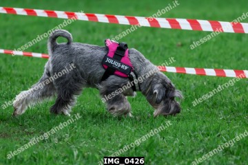 IMG_0426.jpg