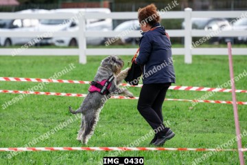IMG_0430.jpg