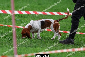 IMG_0616.jpg