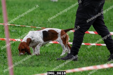 IMG_0618.jpg