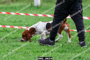 IMG_0634.jpg