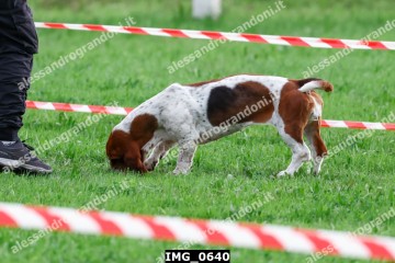 IMG_0640.jpg