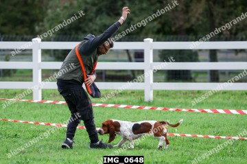 IMG_0648.jpg