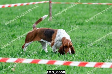 IMG_0658.jpg