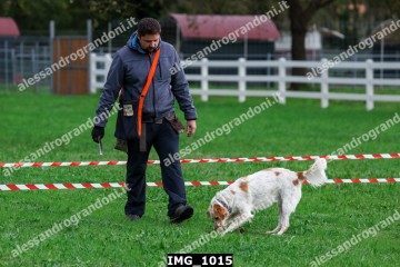 IMG_1015.jpg