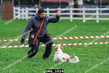 IMG_1024.jpg