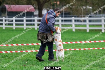 IMG_1047.jpg