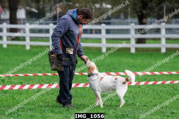 IMG_1056.jpg