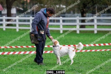 IMG_1059.jpg