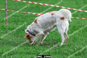 IMG_1066.jpg