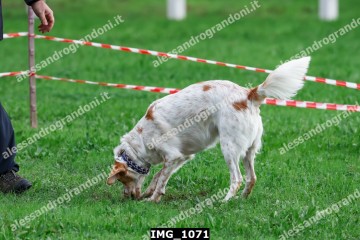 IMG_1071.jpg
