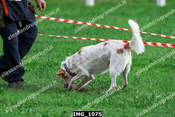 IMG_1075.jpg