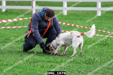 IMG_1079.jpg