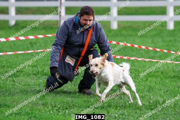 IMG_1082.jpg