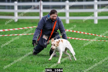 IMG_1084.jpg