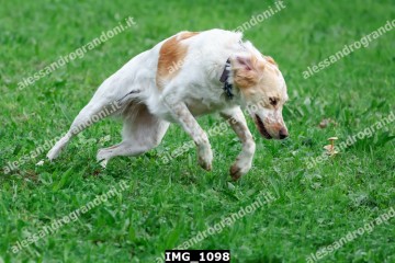 IMG_1098.jpg