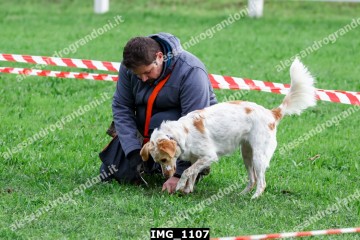 IMG_1107.jpg