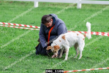 IMG_1109.jpg