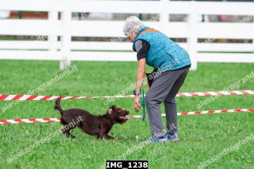 IMG_1238.jpg
