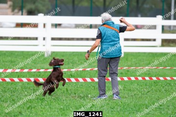 IMG_1241.jpg