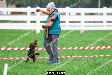 IMG_1282.jpg