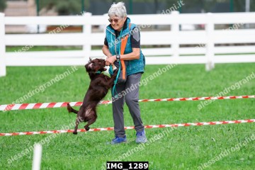 IMG_1289.jpg