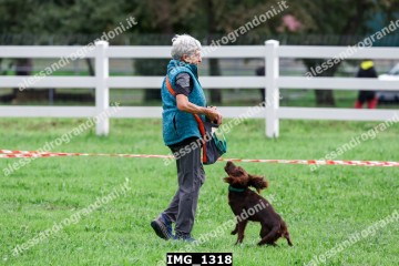 IMG_1318.jpg