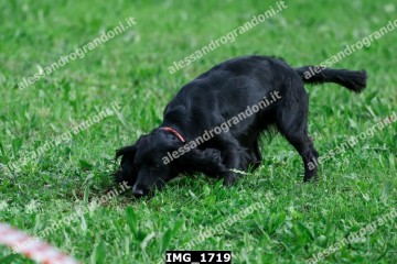 IMG_1719.jpg