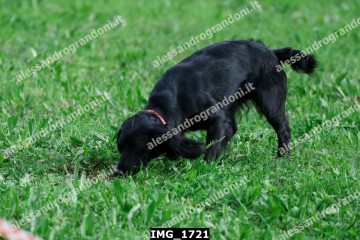 IMG_1721.jpg