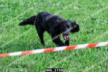 IMG_1730.jpg