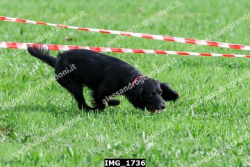 IMG_1736.jpg