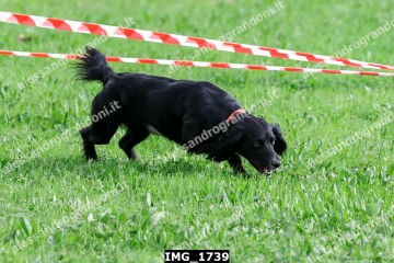 IMG_1739.jpg