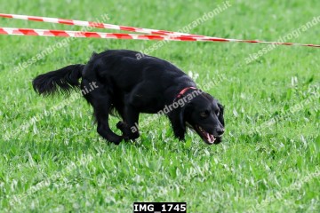 IMG_1745.jpg
