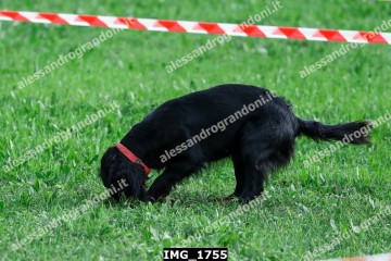 IMG_1755.jpg
