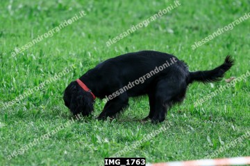 IMG_1763.jpg