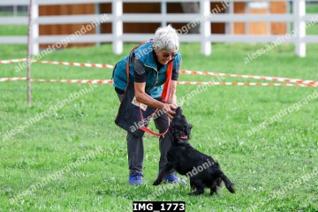 IMG_1773.jpg