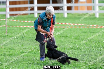 IMG_1776.jpg
